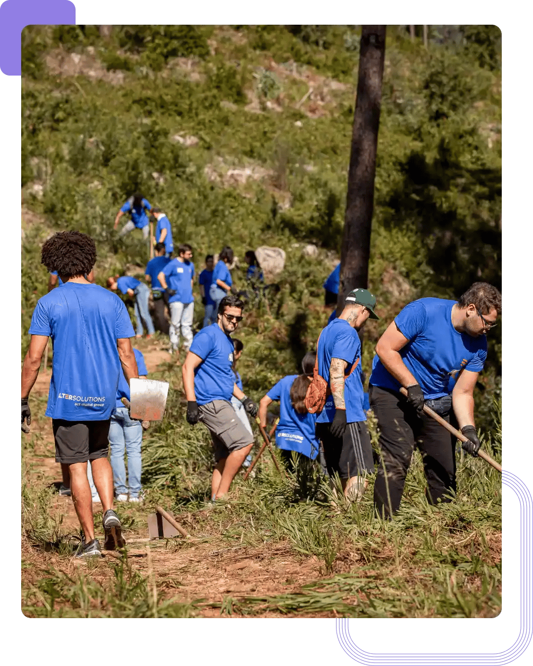 Alter Solutions' experts working as a team in an outdoor activity with environmental purposes