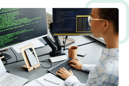 Functional Analyst and Project Manager discussing the three major components of the platform