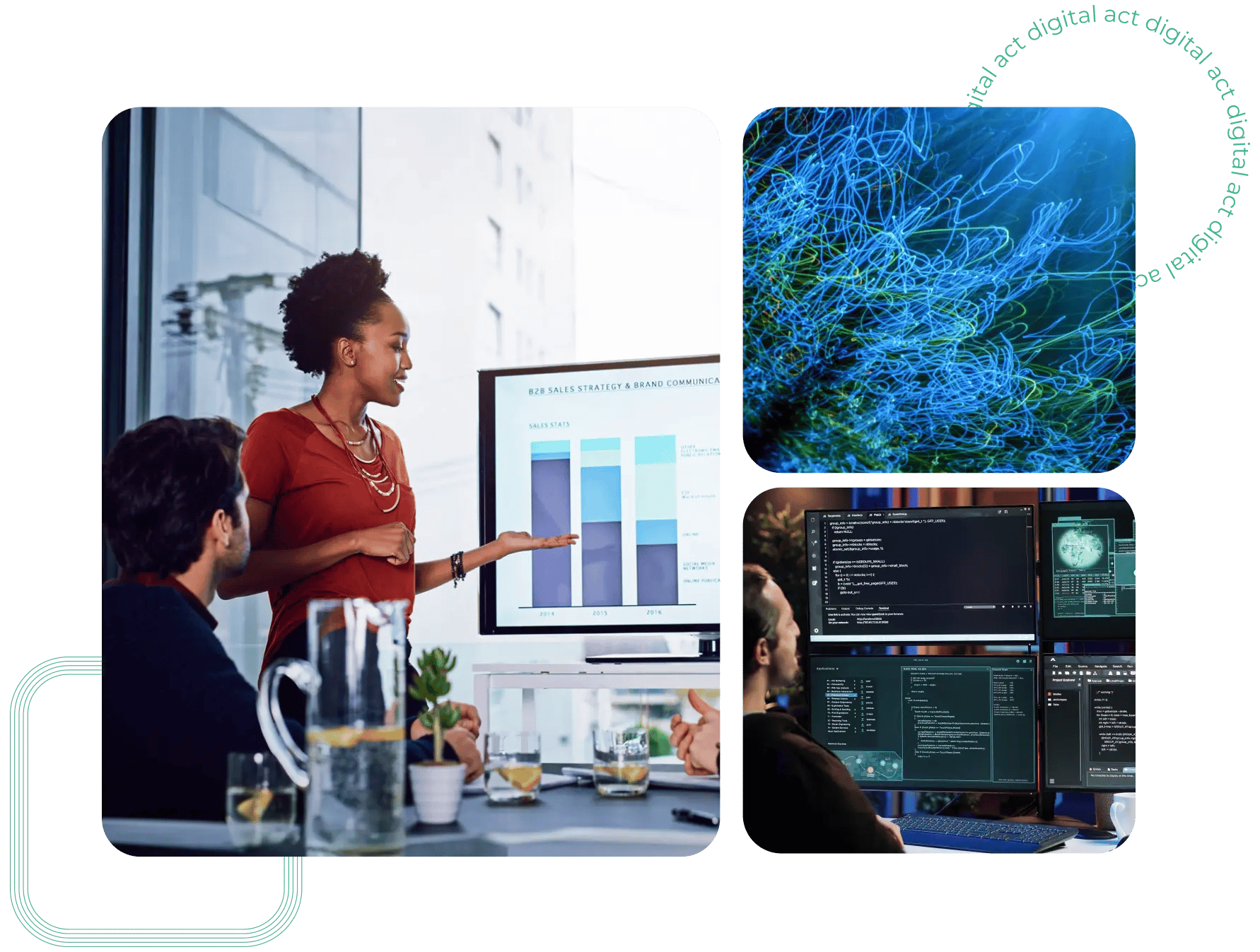 Data Analysts working on data visualisation tools